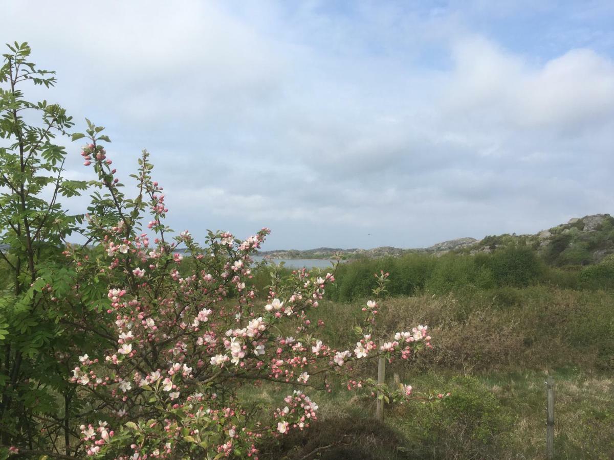 Stuga I Naturskoent Omrade Pa Vaestra Tjoern Saby Esterno foto