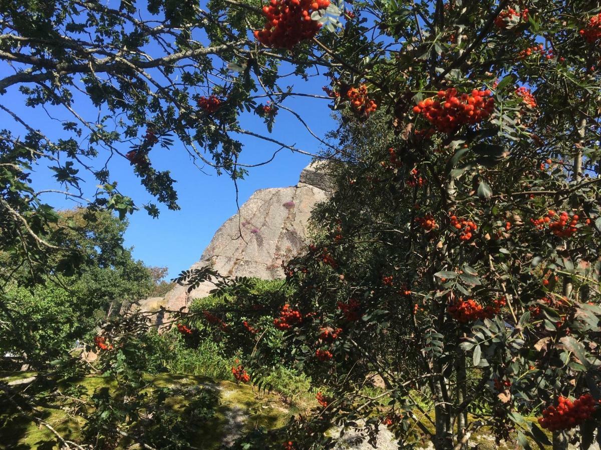 Stuga I Naturskoent Omrade Pa Vaestra Tjoern Saby Esterno foto